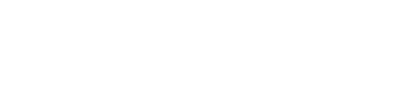 Wiser_Real Estate logo_white